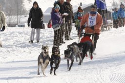 Lenk 2012 SM